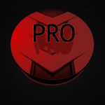 Pro Skills Inc.