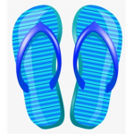 FLIP FLOP CENTRAL