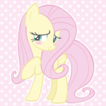 -angel paws-