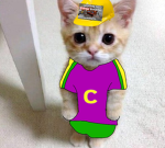 Chuck chucks wtrb group