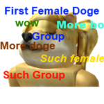First Female Doge Fan Group