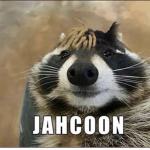 JahRAcoon Survival