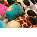 Stuffed animals rule