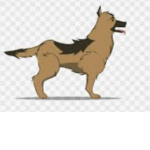 Dogs for life :D