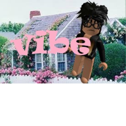 v i b e   house