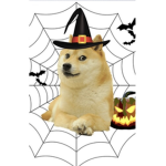 Doge nature