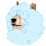 Lamb Doge