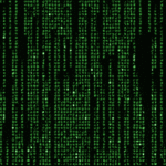 Exploits Server