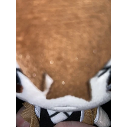 sir charles fan club Roblox group icon