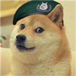 Join the Doge Land Empire!