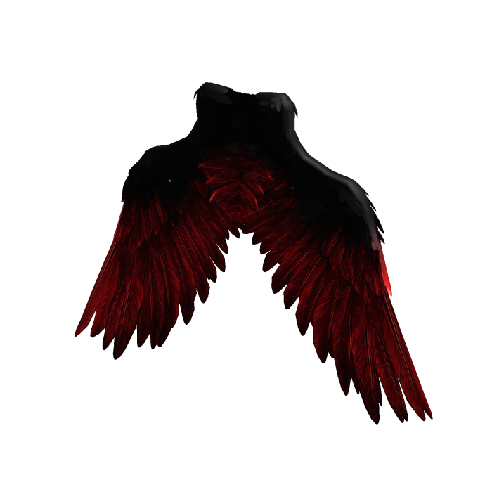 Black & Red Angel Wings