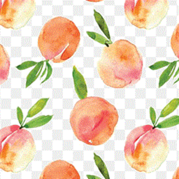 Donate to the peach army!