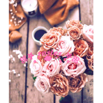 - rosies -