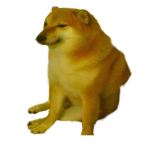 X.Doge Gang.X