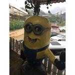 minion raiders lol