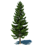 Arrowhead Pines, VE