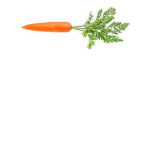 Im a carrot YT Fan club