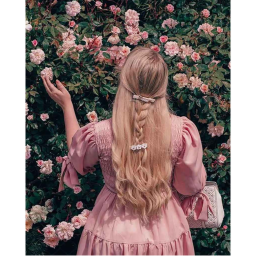 🍡