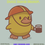 Duck Home group