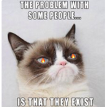 *~Savage Kittens~*