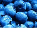 ~Blueberry Cult~