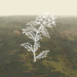 TSK: Island Operation