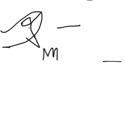 Jumping orcas