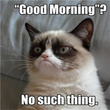 The Grumpy Cat Roblox decal