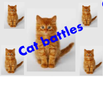Cat battles