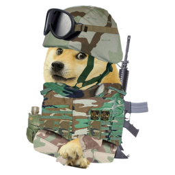 Training Camp: Doge Army