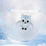 Snow owls!