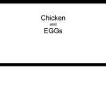 Chickens and EGGS