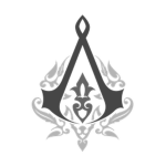 **The Assassin's Order**