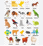 We love all animals support here