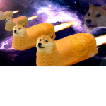 the dogeyyyyyyyyyyyyyyyyyyyyyyyyyyyyyyyyyyyyyyyyyy