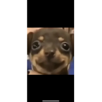 Jays Roblox robux