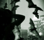 Sol’s little bats