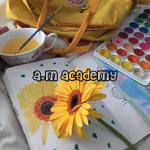 A.M Academy