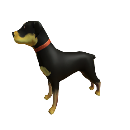 Dog 