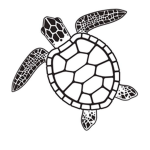 The Sea Turtle’s