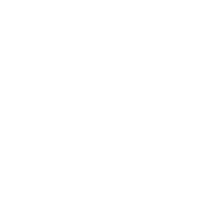 Glowing Angel Wings + Halo 