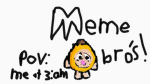 THE MEME BROS.