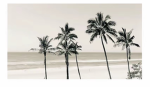Phoebe's adopt me squad