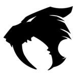 SABRE Raid Force