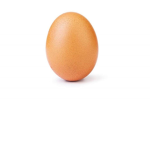 Egg Appreciation Society