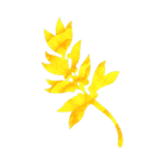 God Feather