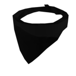 BanditStudio