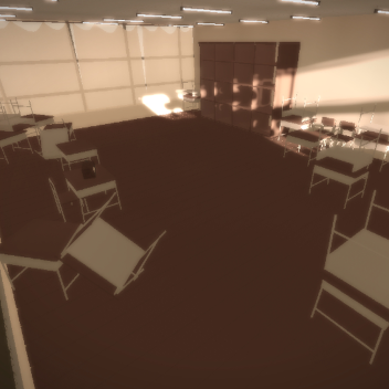 The Classroom Experience
