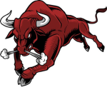 The Real Bulls