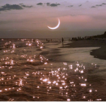 Asthetic Wrld